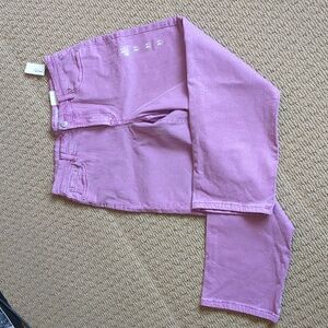 Reitmans s31 NWT Straight High Rise Petite Purple Jeans